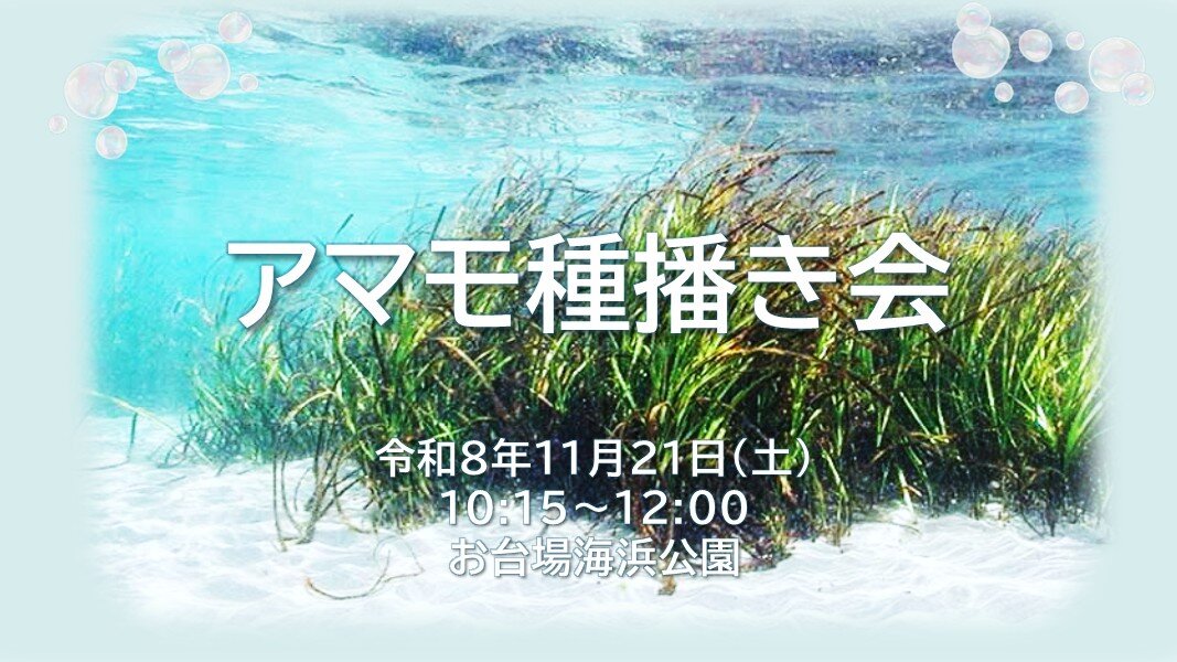 東京港藻場創出活動（アマモ種播き会）