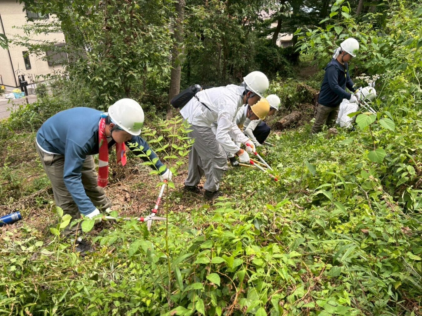 【中高大学生限定】保全地域体験プログラム「里山へGO！」